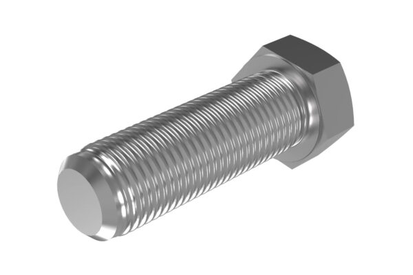 Hexagonal Head Screw, M22 X 70