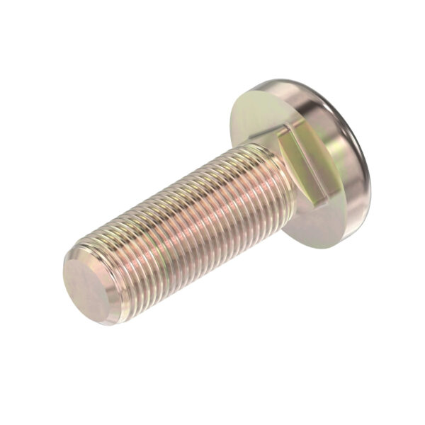 Round Head Square Neck Bolt, M16 X 50