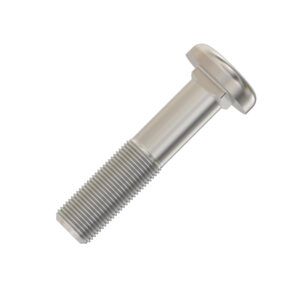 Round Head Square Neck Bolt, M16 X 80