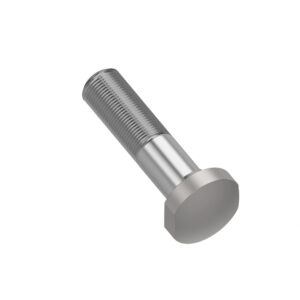 Screw