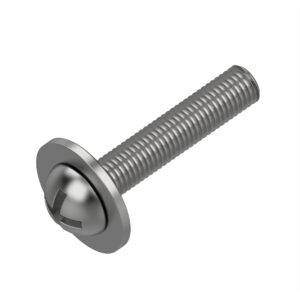 Screw with Washer