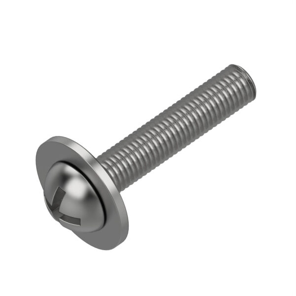 Screw with Washer