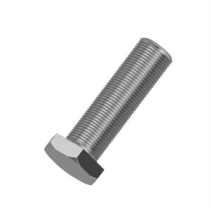 Hexagonal Head Cap Screw, M16 X 55