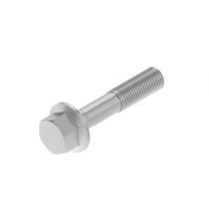 Hexagonal Head Flanged Screw, M20 X 70