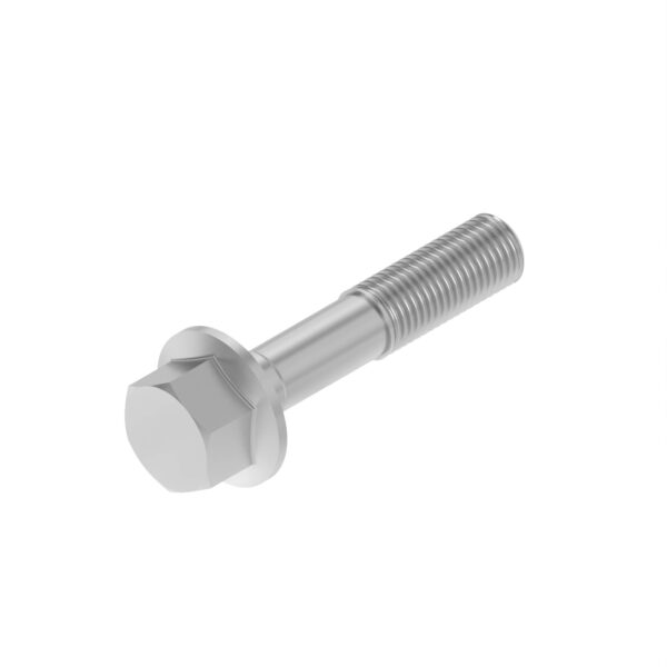 Hexagonal Head Flanged Screw, M20 X 70