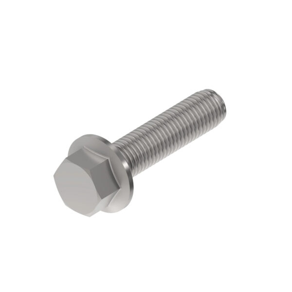 Hexagonal Head Flanged Screw, M10 X 45