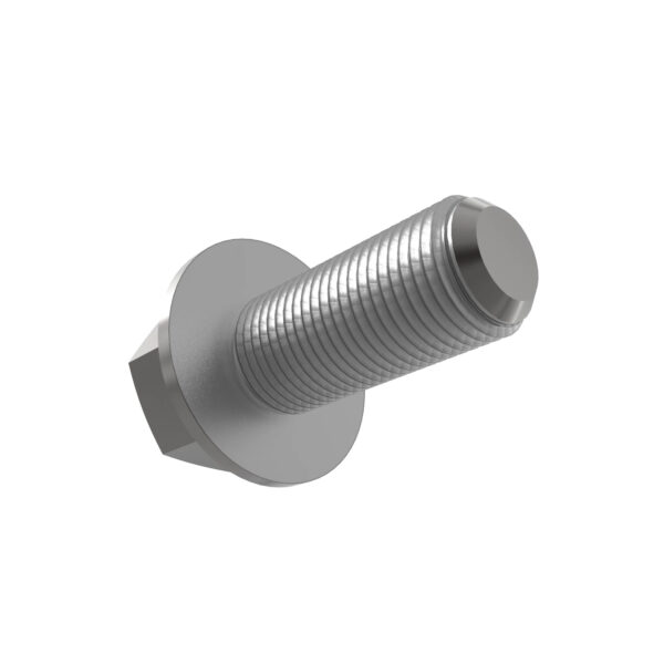 Hexagonal Head Flanged Screw, M10 X 25