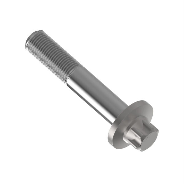 Torx Screw, M10 X 55