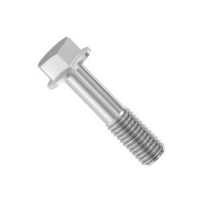 Hexagonal Head Flanged Screw, M8 X 40