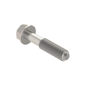 Hexagonal Head Flanged Screw, M6 X 35