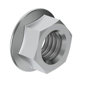 Hexagonal Flanged Nut, M10