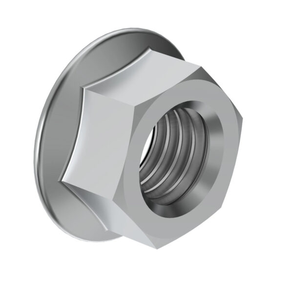 Hexagonal Flanged Nut, M10
