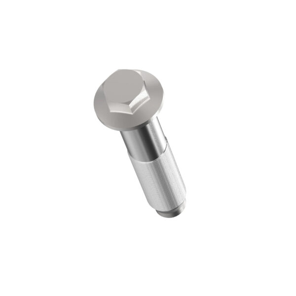 Hexagonal Head Flanged Screw, M30 X 142.55