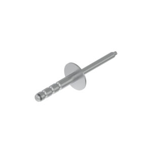 Flat Head Rivet