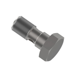 Hollow Screw