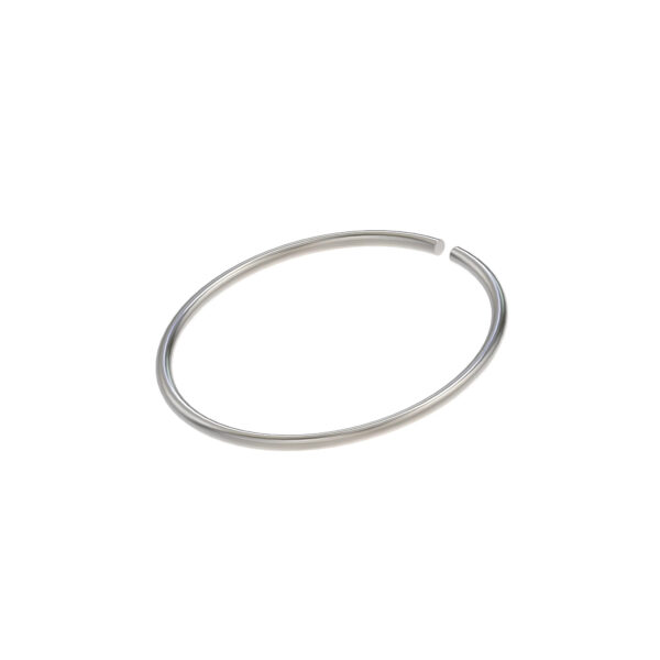 Snap Ring