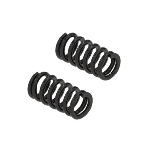 Valve Spring Kit