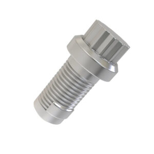 Flanged Screw, 1/2"