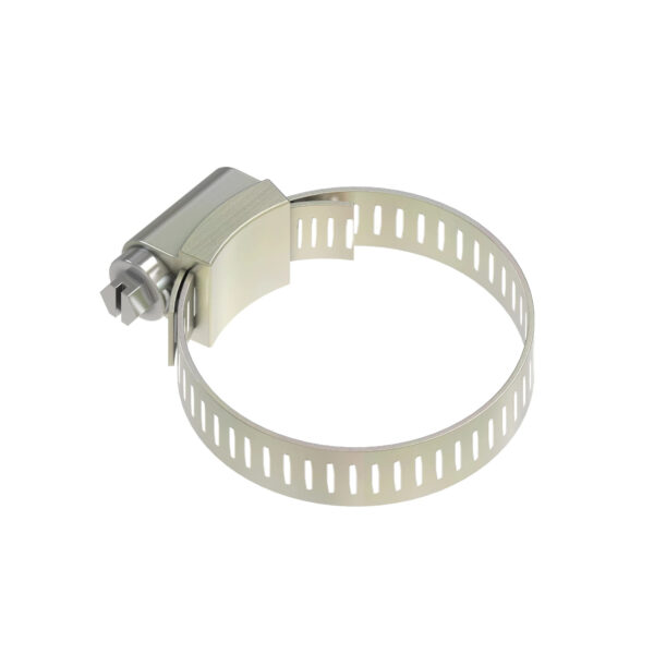 Worm Gear Clamp