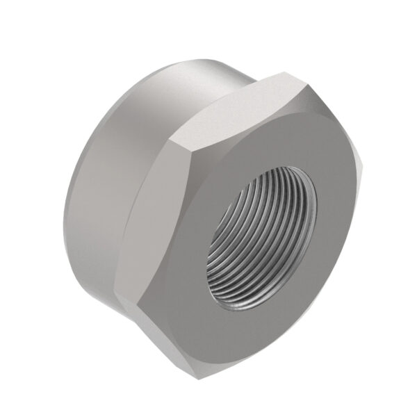 Hexagonal Nut, M30