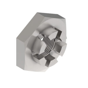 Hexagonal Slotted Nut, M24