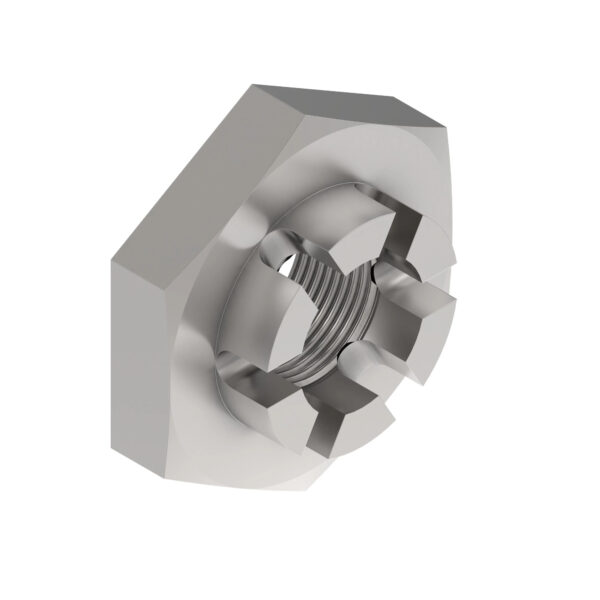 Hexagonal Slotted Nut, M24